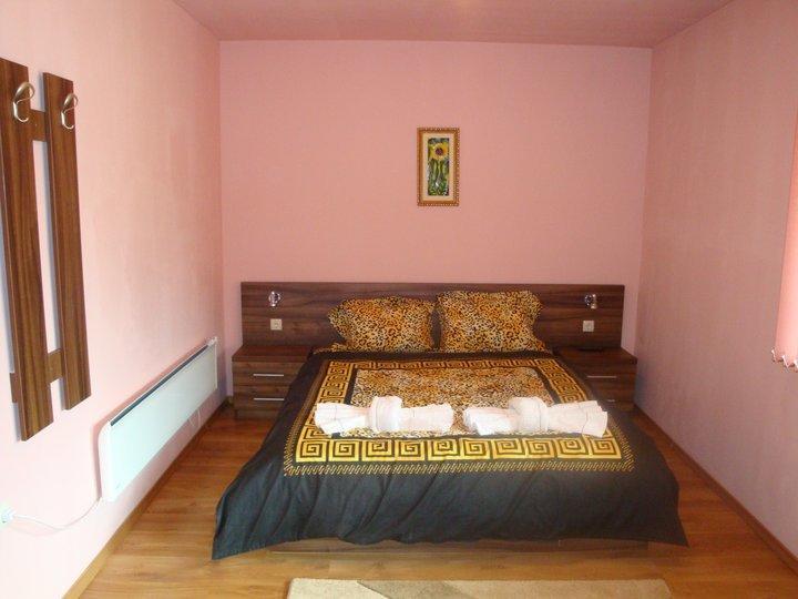 Tzvetelina Palace Hotel Dolna Baňa Pokoj fotografie