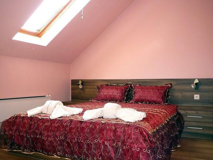 Tzvetelina Palace Hotel Dolna Baňa Pokoj fotografie